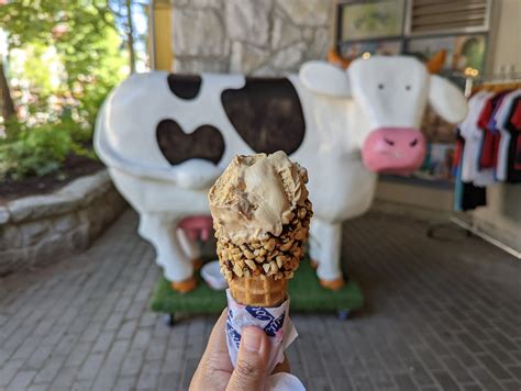 Lactose-Free Delight: How Matic Cow Ice Cream is Perfect for Dairy Lovers